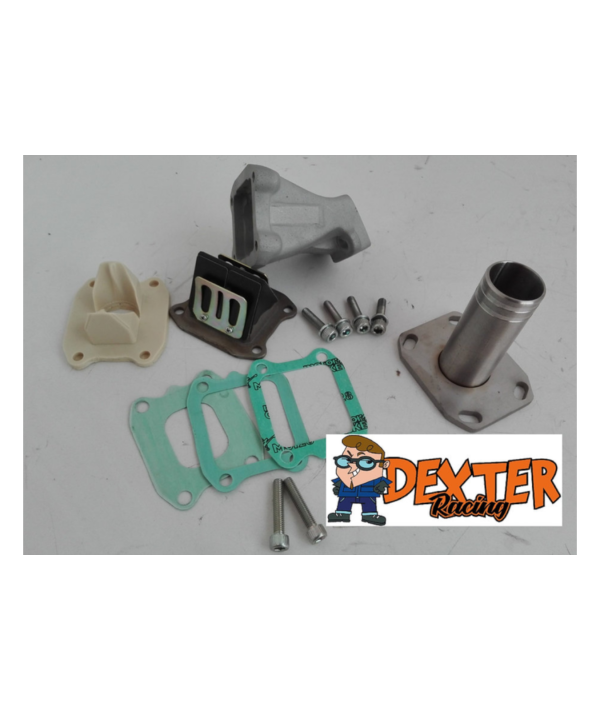 Collettore lamellare al carter 28/30 mm, 2/3 fori, Dexter racing Vespa 50 Special, 125 Et3, Primavera, 50 L, N, R